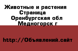  Животные и растения - Страница 16 . Оренбургская обл.,Медногорск г.